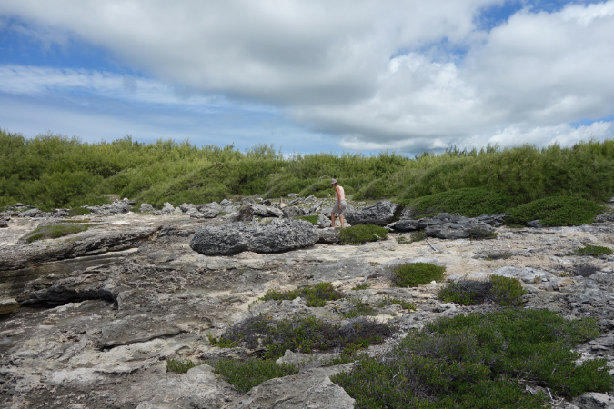 Rodrigues_2016_054