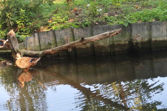 15sept-Amiens%20(43)