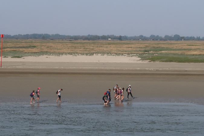 16sept_BaiedeSomme%20(6)